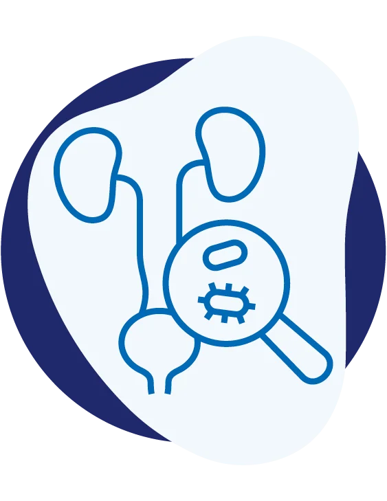 urocentrumwest-professor-dr-burkhard-ubrig-urologe-leistungen-wiederkehrende-harnwegsinfektion