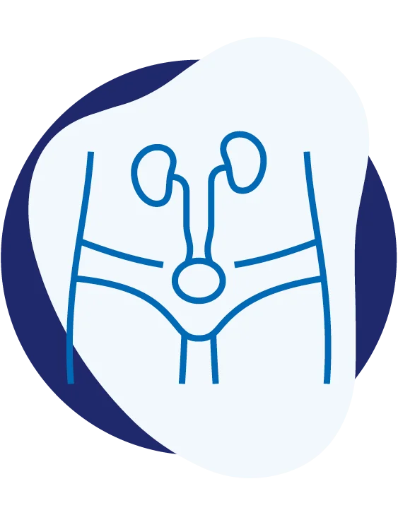 Urologische Vorsorge für Mann und Frau – Urocentrum West
